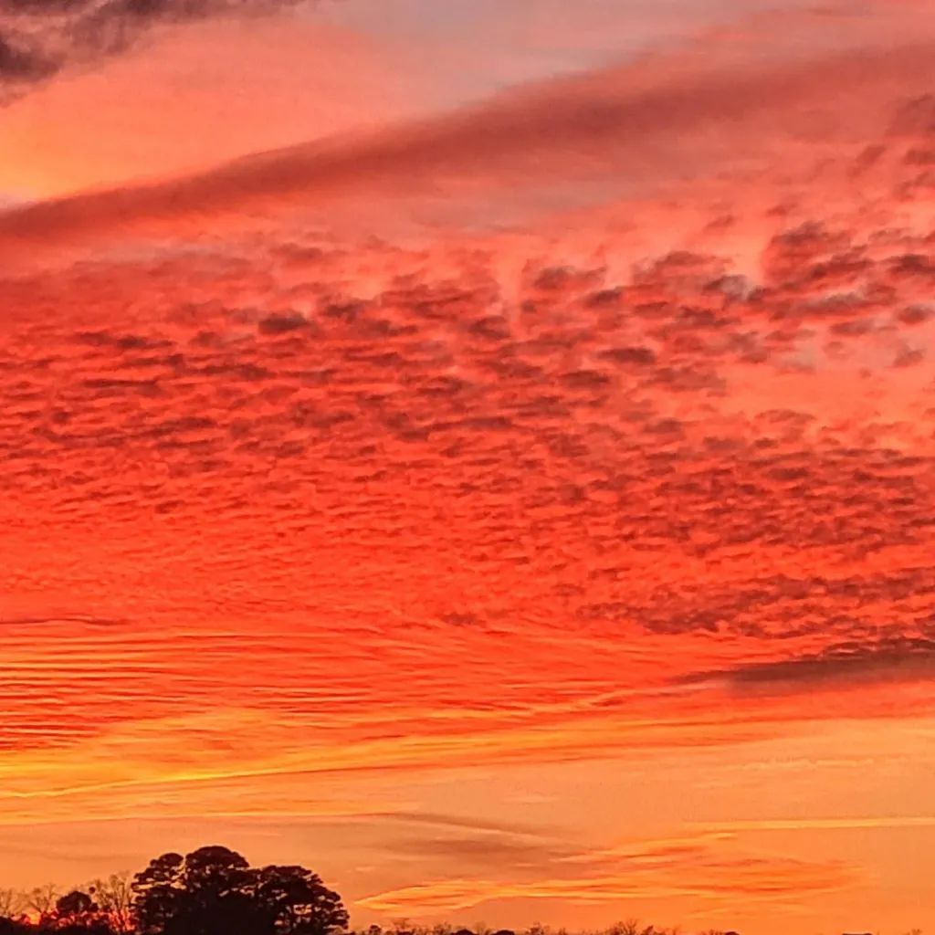 chat with ai character: Liora