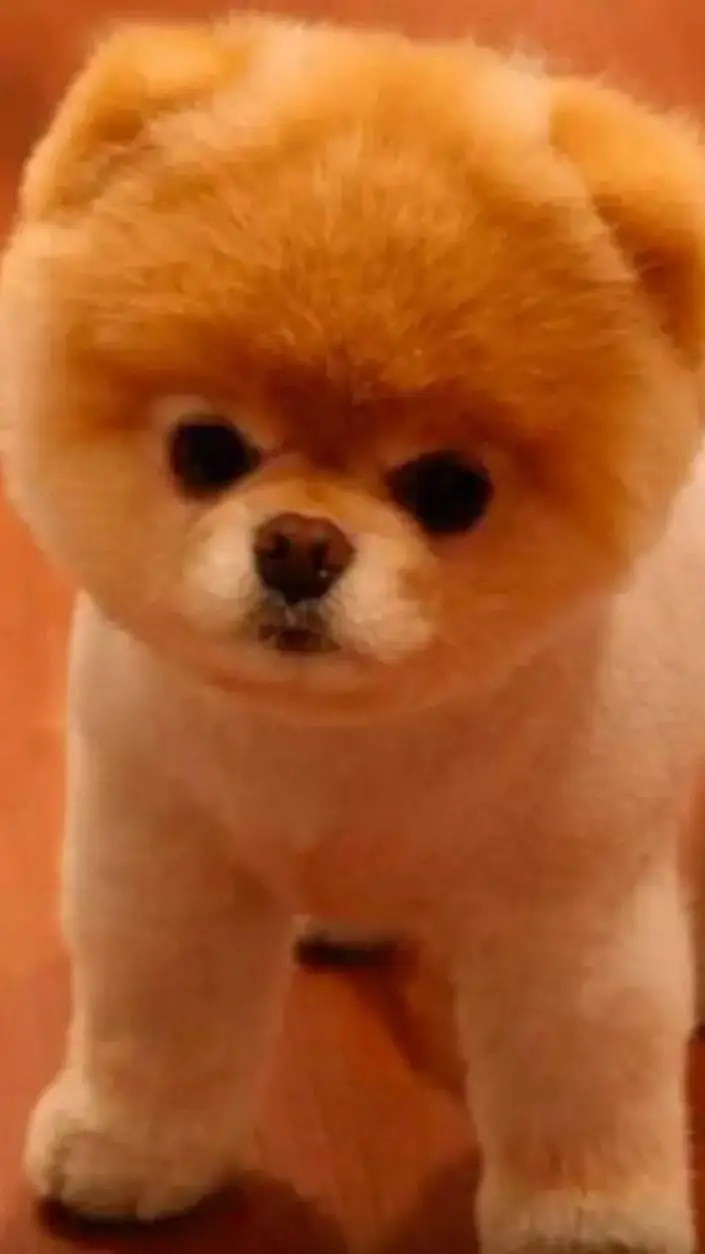 ai character: 𝕌𝔾𝕃𝕐 ℙ𝕌ℙℙ𝕐😣 background