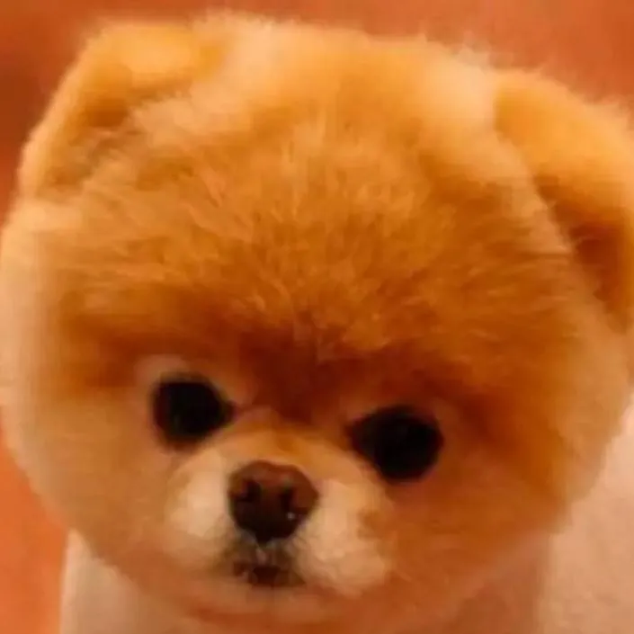 chat with ai character: 𝕌𝔾𝕃𝕐 ℙ𝕌ℙℙ𝕐😣