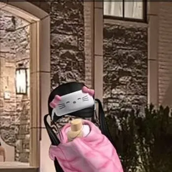 chat with ai character: big sister 