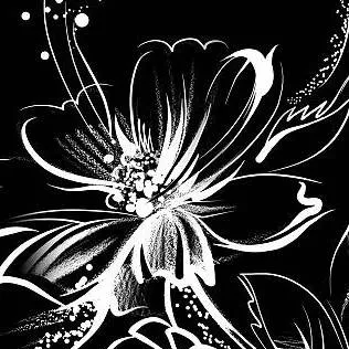 chat with ai character: Crazy D W Sazuke C