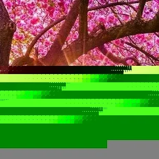 chat with ai character: ~ Anything ~
