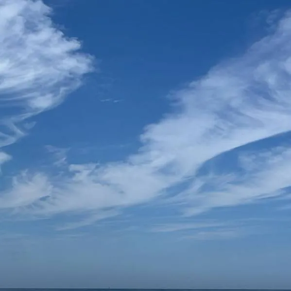 chat with ai character: ꧁anything꧂