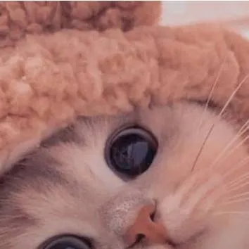 chat with ai character: Gatita:Kiara