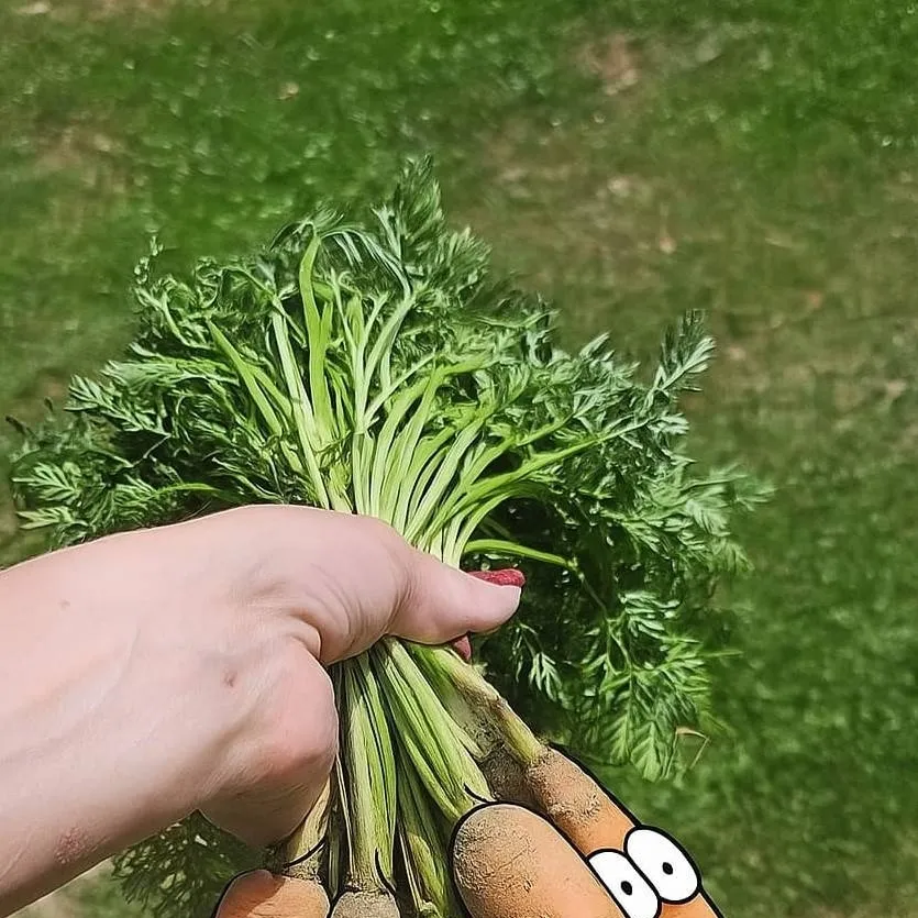 chat with ai character: screaming carrots