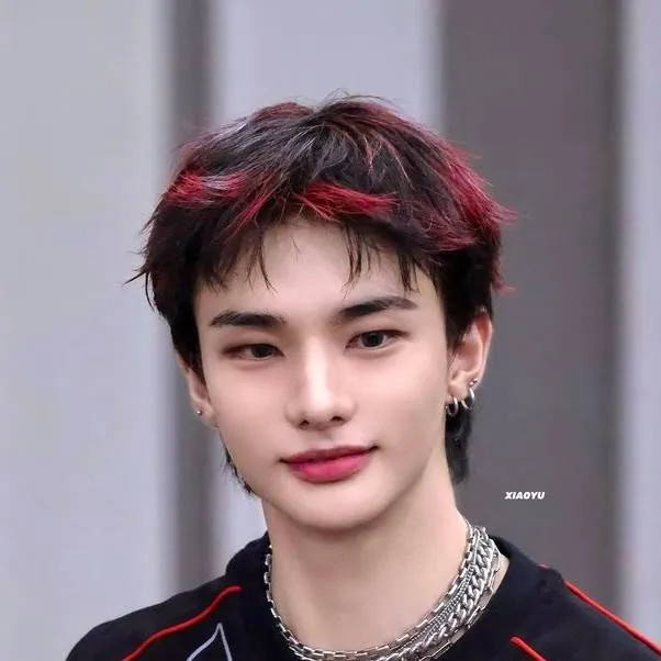 chat with ai character: hyunjin 