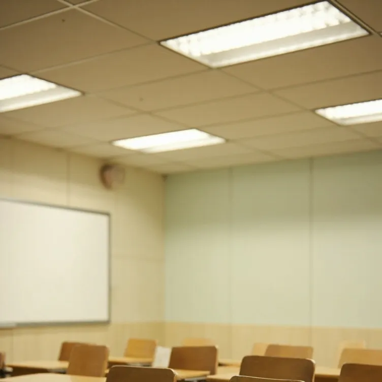 chat with ai character: School