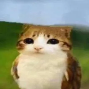 chat with ai character: meowl