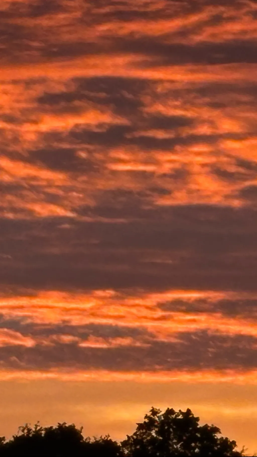 ai character: Sunrise background