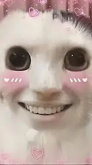 ai character: Stray kids pick me background