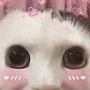 chat with ai character: Stray kids pick me