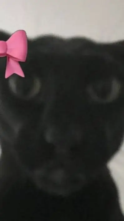 ai character: EVIL LARRY 👅👅🤏🤏 background