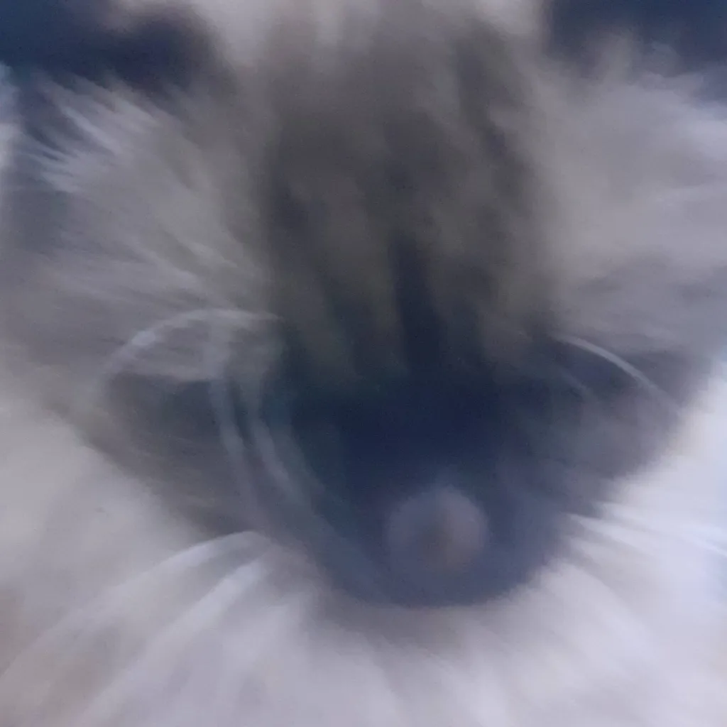 chat with ai character: apricot/مشمش 