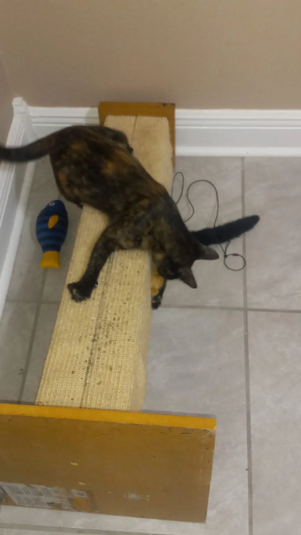 ai character: Mitsuri  background