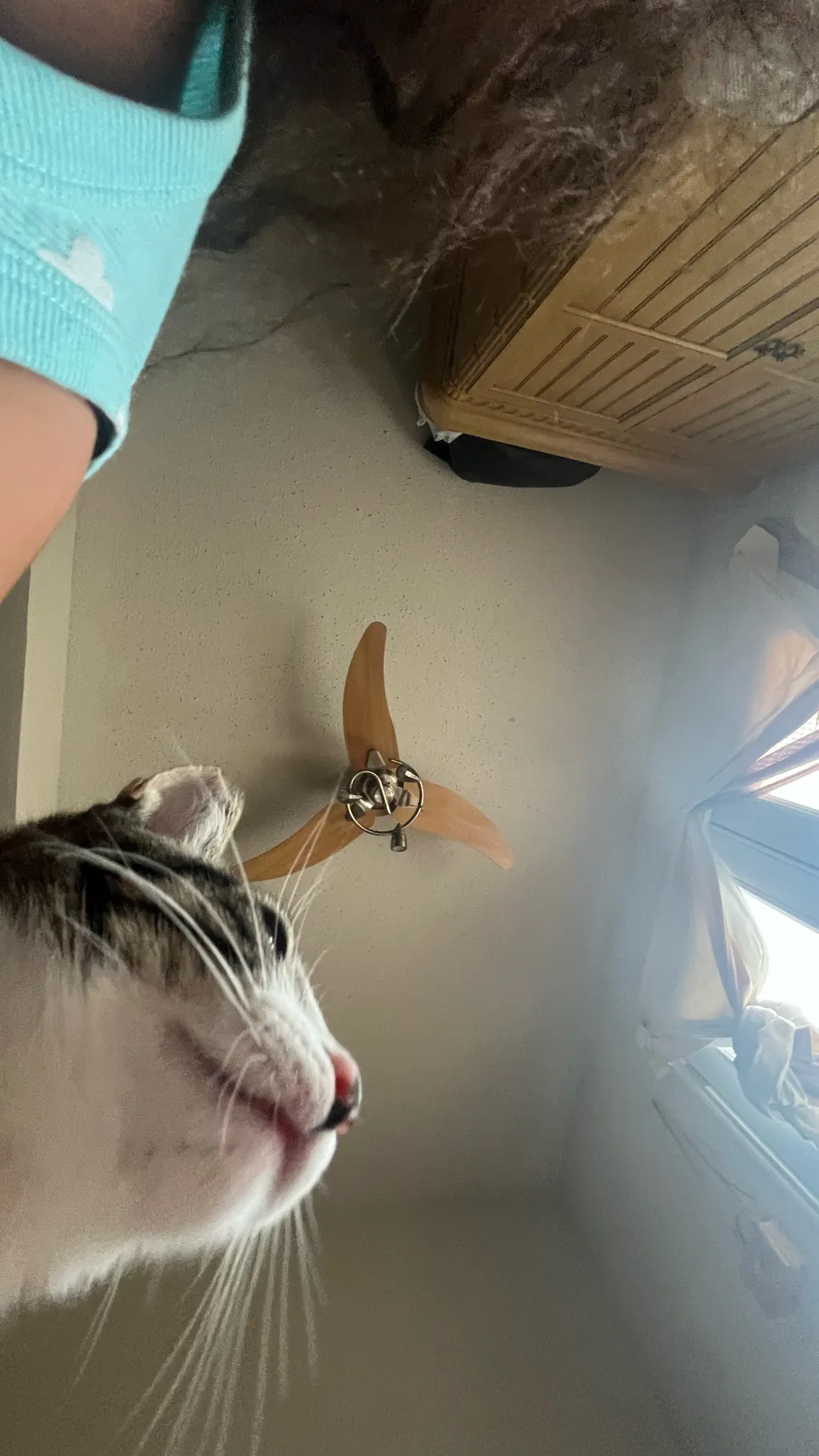 ai character: 𝓝𝓮𝔃𝓾𝓴𝓸  background