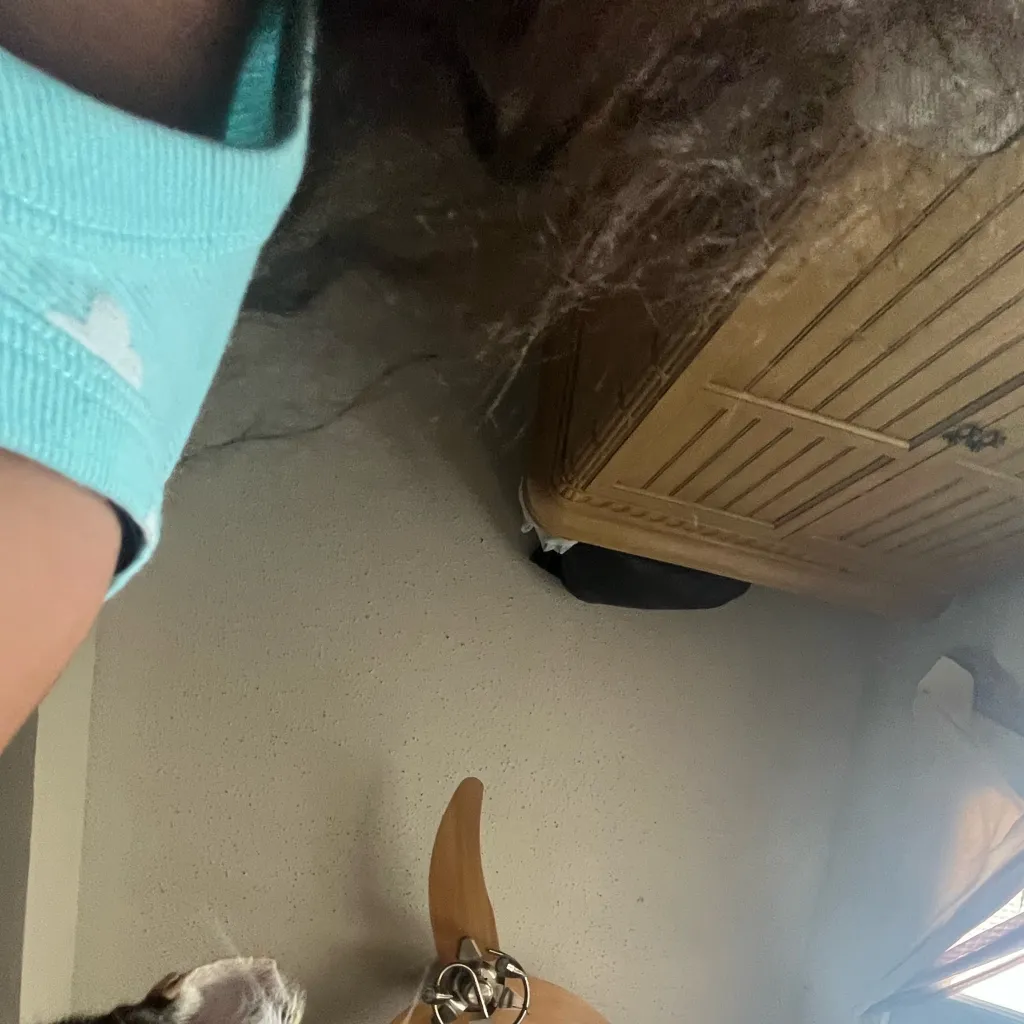 chat with ai character: 𝓝𝓮𝔃𝓾𝓴𝓸 