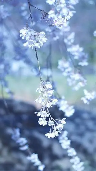 ai character: Family trip background