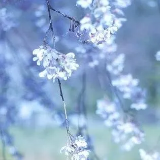 chat with ai character: Family trip