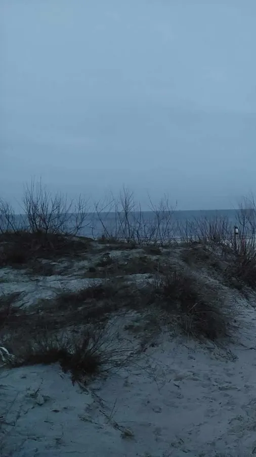 ai character: ‘ washed up ‘  background