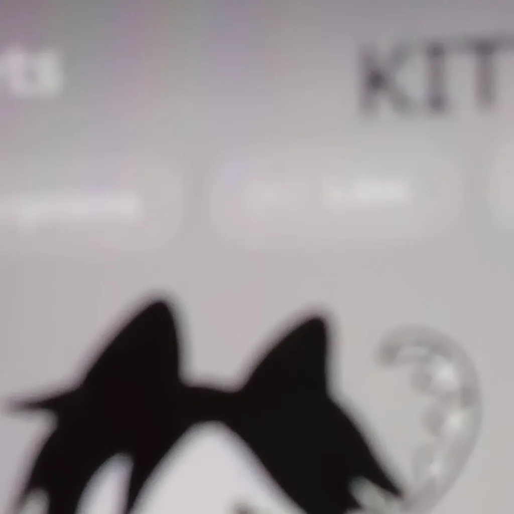 chat with ai character: kitty two time