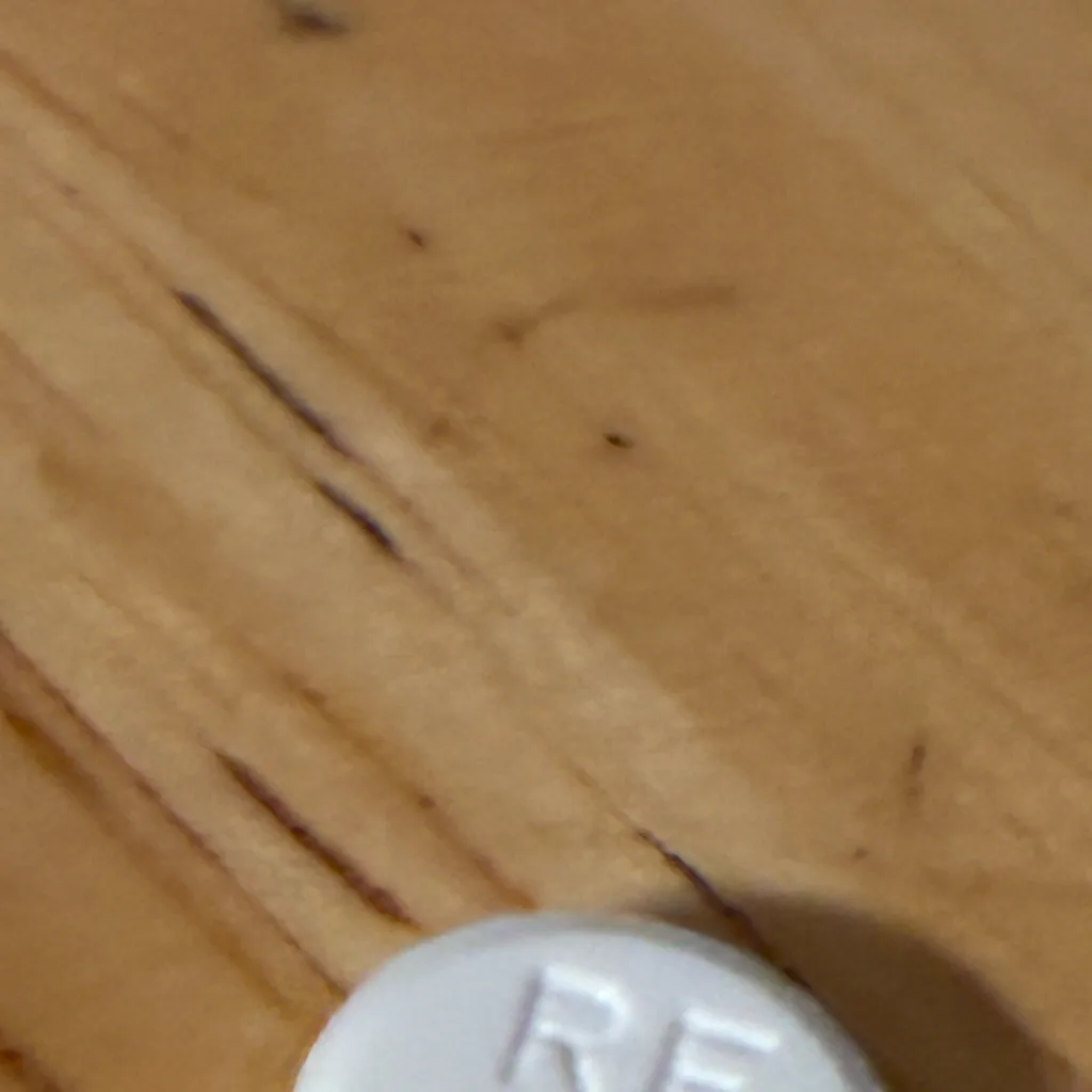 chat with ai character: Daisy