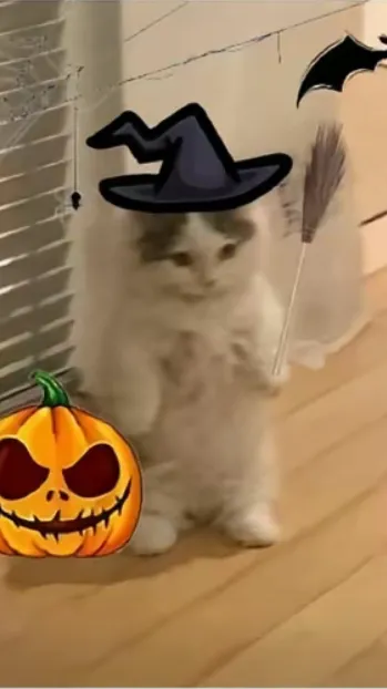 ai character: Witch kitty background