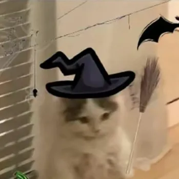 chat with ai character: Witch kitty