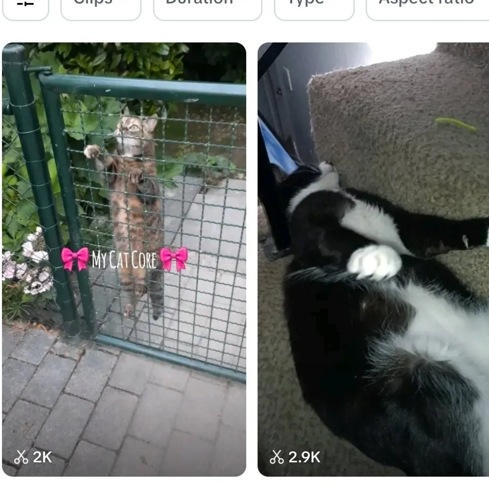 chat with ai character: skz