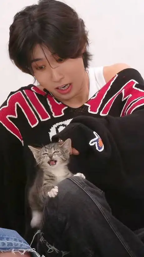 ai character: han background