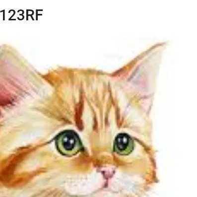 chat with ai character: Michi juguetón 😺