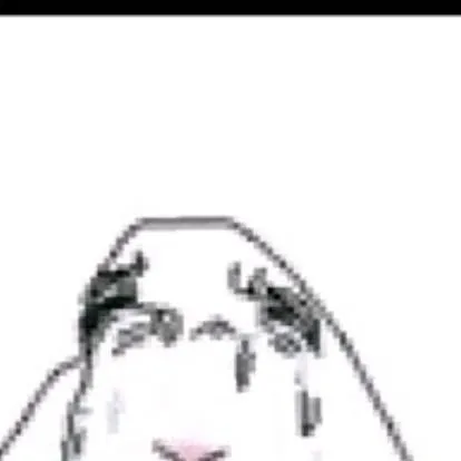 chat with ai character: Sadie