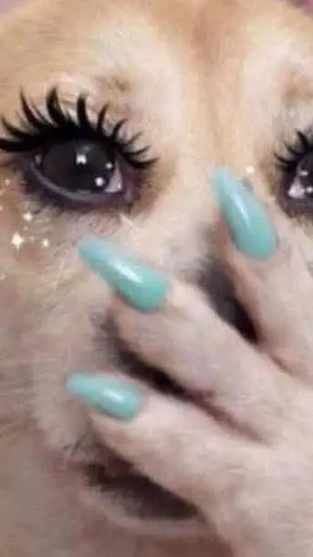 ai character: nose background