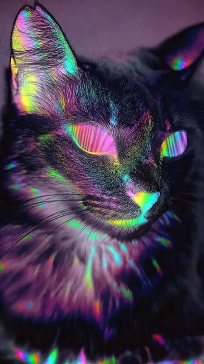 ai character: rainbow cat background
