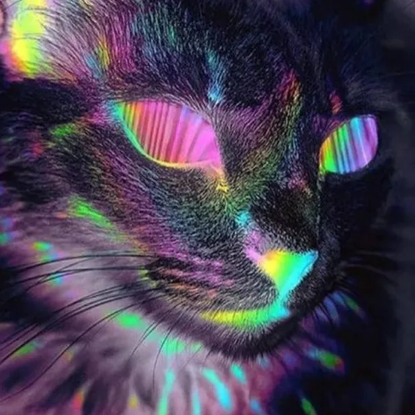 chat with ai character: rainbow cat