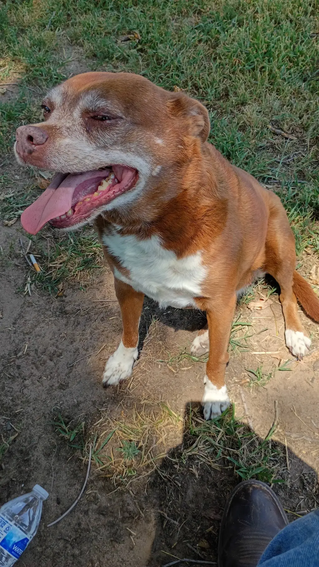 ai character: chole background