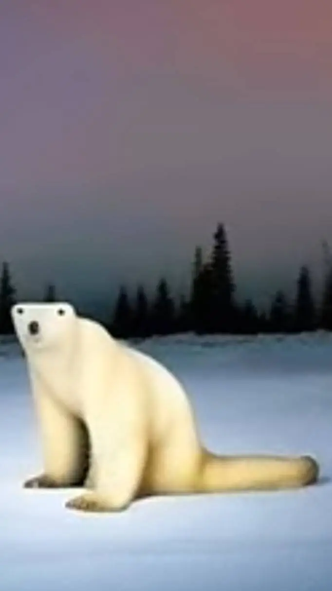 ai character: polar bear 2026 background