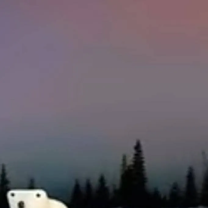 chat with ai character: polar bear 2026