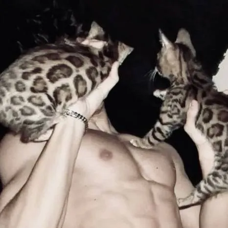 chat with ai character: Braxton