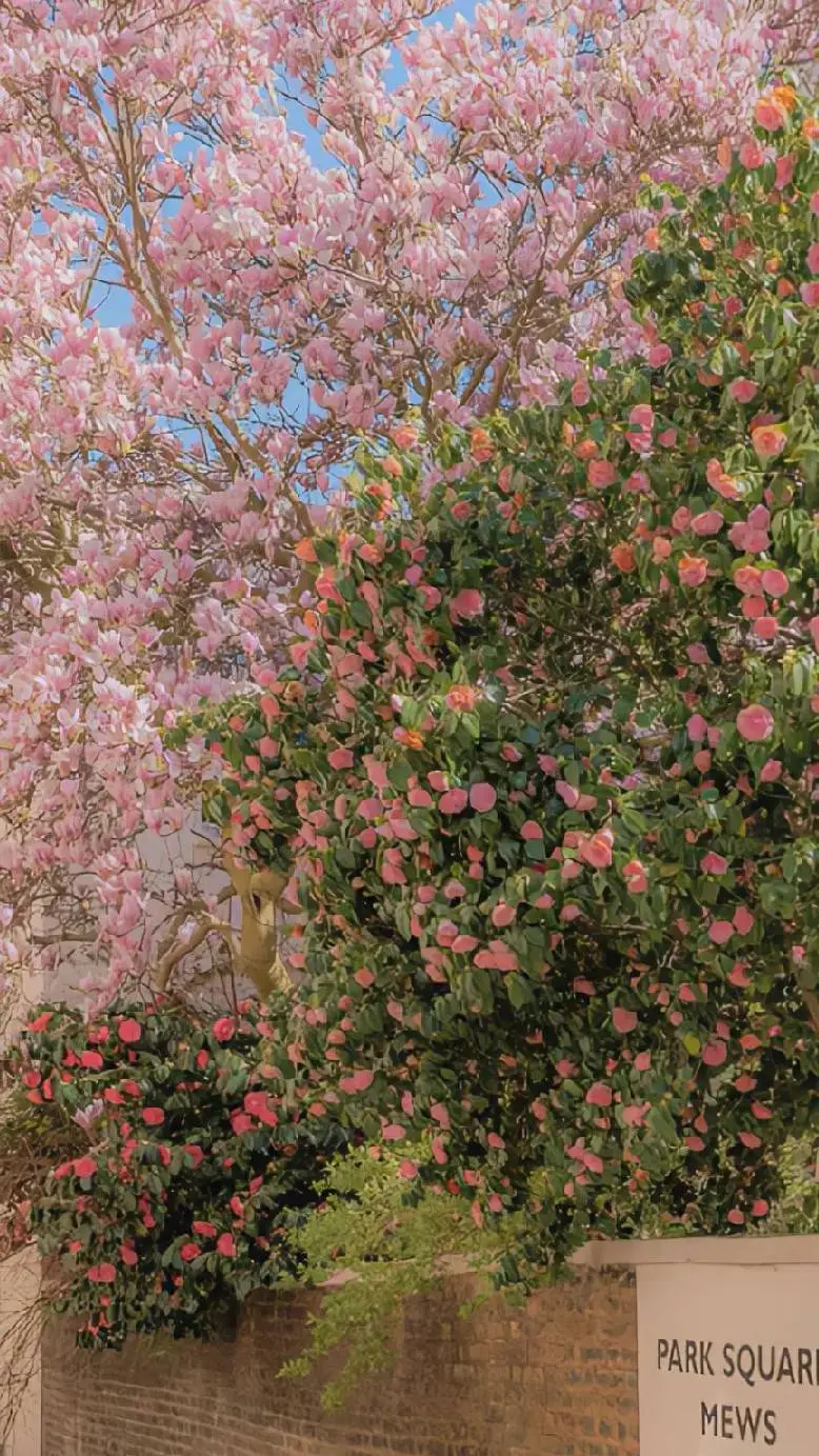 ai character: The Loser club background