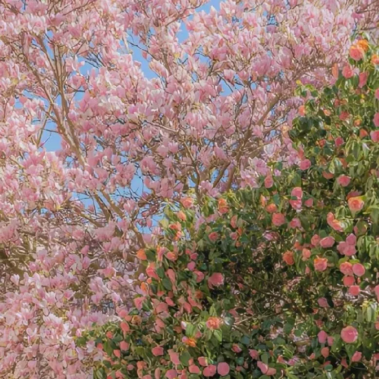 chat with ai character: The Loser club