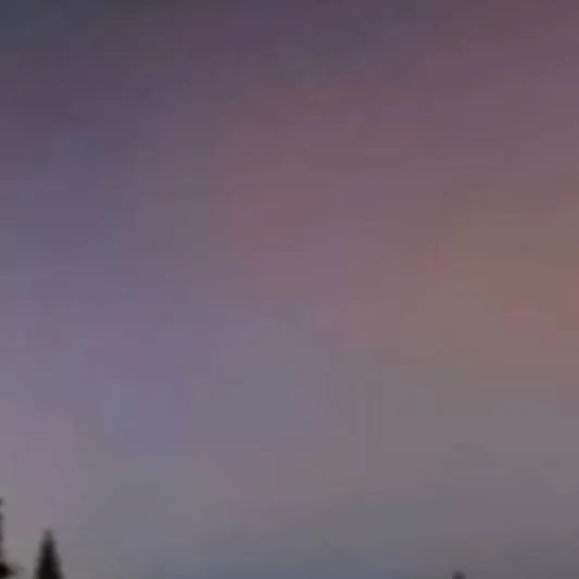 chat with ai character: polar bear 2026