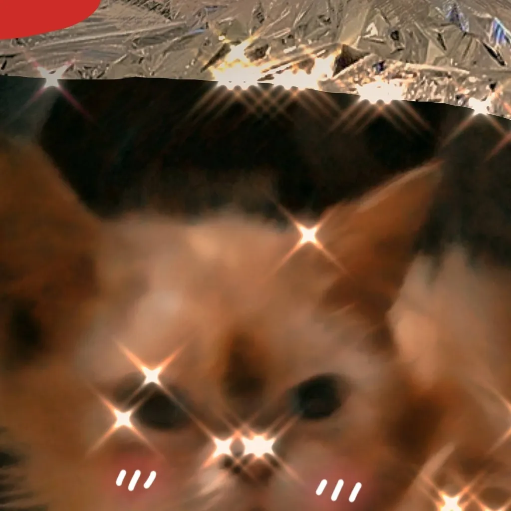 chat with ai character: Coby pt 2