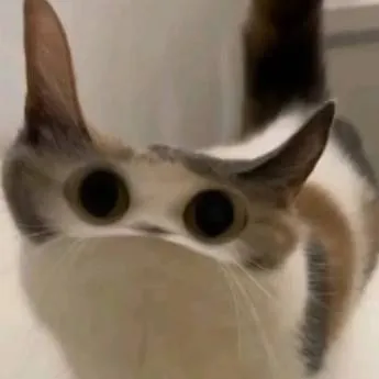 chat with ai character: Opagamamstyle🤙🏻🤙🏻