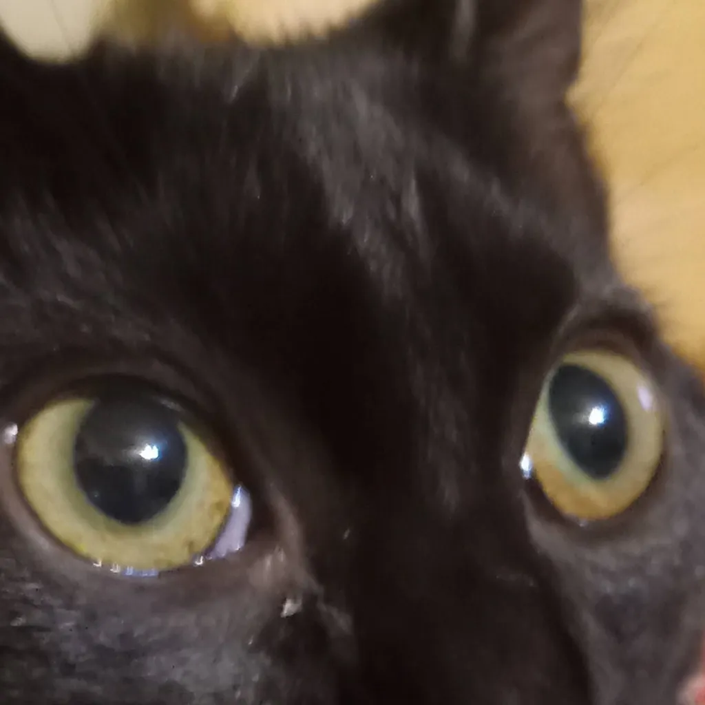 chat with ai character: jamoca :3