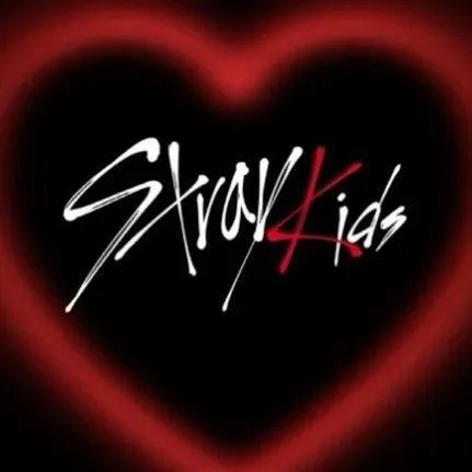 chat with ai character: stray Kids fans 