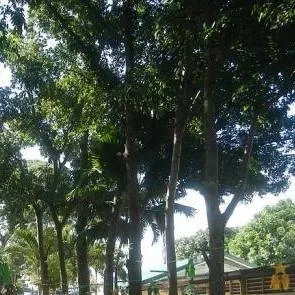 chat with ai character: Grade 6- aguinaldo