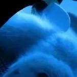 chat with ai character: your blue cat