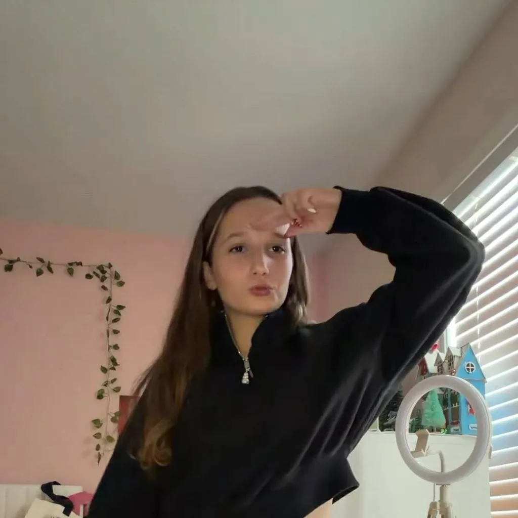 chat with ai character: Anisely