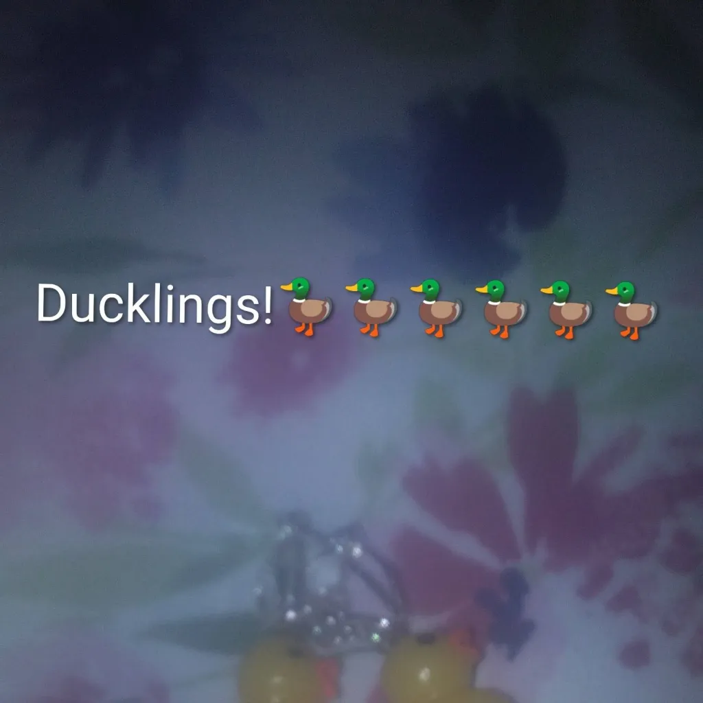 chat with ai character: Ducklings🦆🦆🦆🦆
