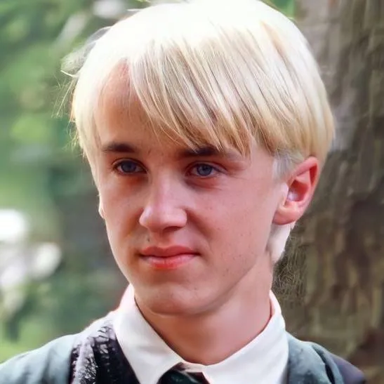chat with ai character: Draco malfoy 
